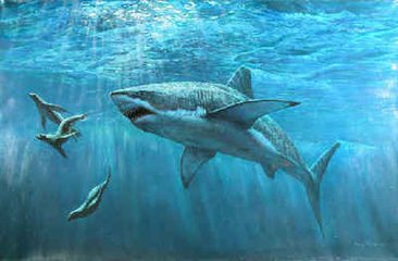 成年的大白鲨重量一般多少斤，大白鲨的天敌是什么?