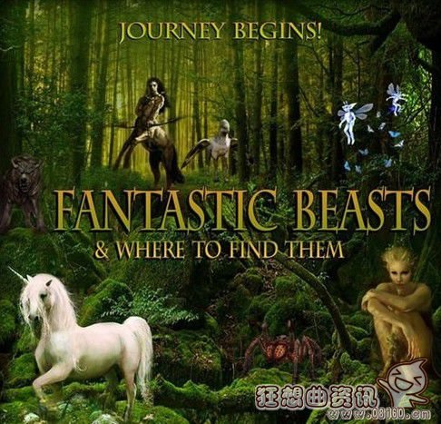 神奇动物在哪里小说跟电影有联系吗？神奇动物在哪里会有第二部吗？