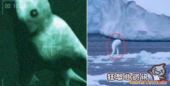 南极洲发现疑似外星人，南极洲十大未解之谜