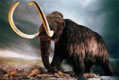 比恐龙更大的史前动物图片，史前动物为什么那