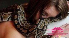 蟒蛇伸直睡觉吃主人图，适合做宠物的蟒蛇品种