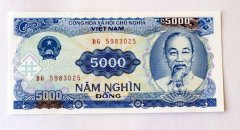 越南5000元面值纸币图，越南盾最大面值50万能买啥？