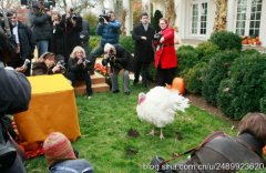 美国总统特赦权的由来和意义解读，总统为什么感恩节要特赦火鸡？