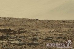 nasa火星照上有北极熊，盘点火星上发现的不可思