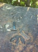 两亿年前的神秘脚印之谜，两亿年前的地球环境