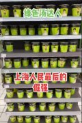 绿色汤达人是什么梗？绿色汤达人什么味？