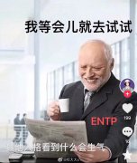 ENTP适合的恋人，ENTP型人格都没出息吗？