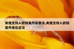 央视主持人欧阳夏丹监察法,央视主持人欧阳夏丹现在近况