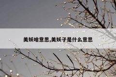 美妖啥意思,美妖子是什么意思