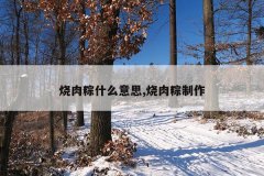 烧肉粽什么意思,烧肉粽制作