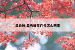 吴秀波,吴秀波事件是怎么回事