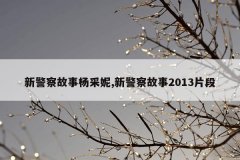 新警察故事杨采妮,新警察故事2013片段