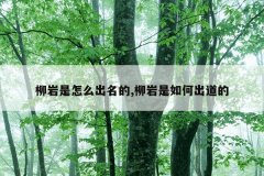 柳岩是怎么出名的,柳岩是如何出道的