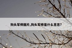 狗头军师图片,狗头军师是什么意思?