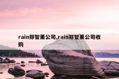 rain郑智薰公司,rain郑智薰公司收购