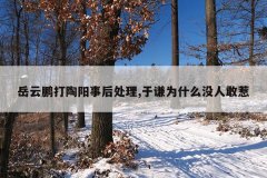 岳云鹏打陶阳事后处理,于谦为什么没人敢惹