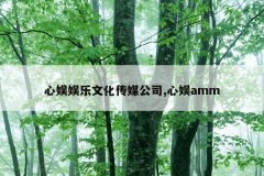 心娱娱乐文化传媒公司,心娱amm