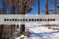 男拳女拳是什么意思,男拳女拳是什么意思啊