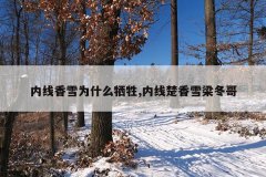 内线香雪为什么牺牲,内线楚香雪梁冬哥