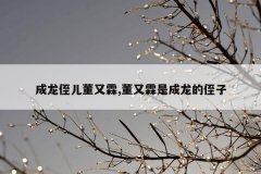 成龙侄儿董又霖,董又霖是成龙的侄子