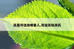 高磊司徒南哪里人,司徒高娃简历