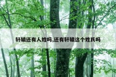 轩辕还有人姓吗,还有轩辕这个姓氏吗