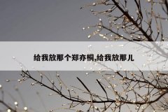 给我放那个郑亦桐,给我放那儿