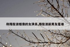 和隋俊波相像的女演员,隋俊波前男友是谁