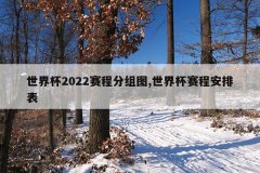 世界杯2022赛程分组图,世界杯赛程安排表