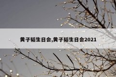 黄子韬生日会,黄子韬生日会2021