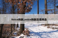 Voice韩剧,voice韩剧百度网盘