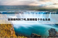 张珊珊判刑了吗,张珊珊是个什么东西