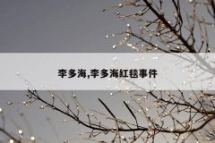 李多海,李多海红毯事件