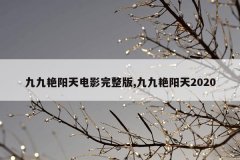 九九艳阳天电影完整版,九九艳阳天2020
