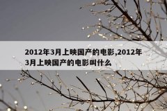2012年3月上映国产的电影,2012年3月上映国产的电影叫什么