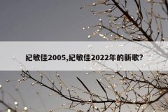 纪敏佳2005,纪敏佳2022年的新歌?