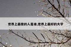 世界上最傻的人是谁,世界上最好的大学