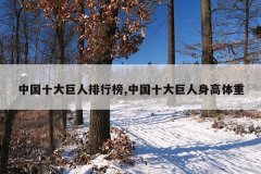中国十大巨人排行榜,中国十大巨人身高体重