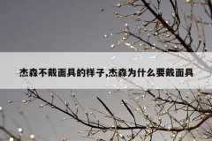 杰森不戴面具的样子,杰森为什么要戴面具