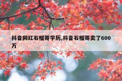 抖音网红石榴哥学历,抖音石榴哥卖了600万