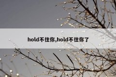 hold不住你,hold不住你了