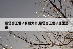 屋塔房王世子真相大白,屋塔房王世子原型是谁