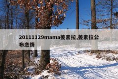 20111129mama姜素拉,姜素拉公布恋情