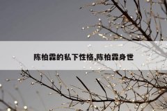 陈柏霖的私下性格,陈柏霖身世