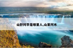 山野阿李是哪里人,山里阿木