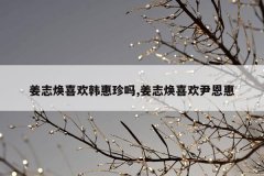 姜志焕喜欢韩惠珍吗,姜志焕喜欢尹恩惠