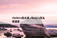 cholera怎么读,cholera怎么读语音