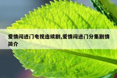 爱情闯进门电视连续剧,爱情闯进门分集剧情简介