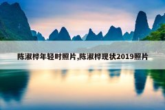 陈淑桦年轻时照片,陈淑桦现状2019照片