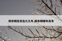 郑亦桐出生在几几年,郑亦桐哪年出生